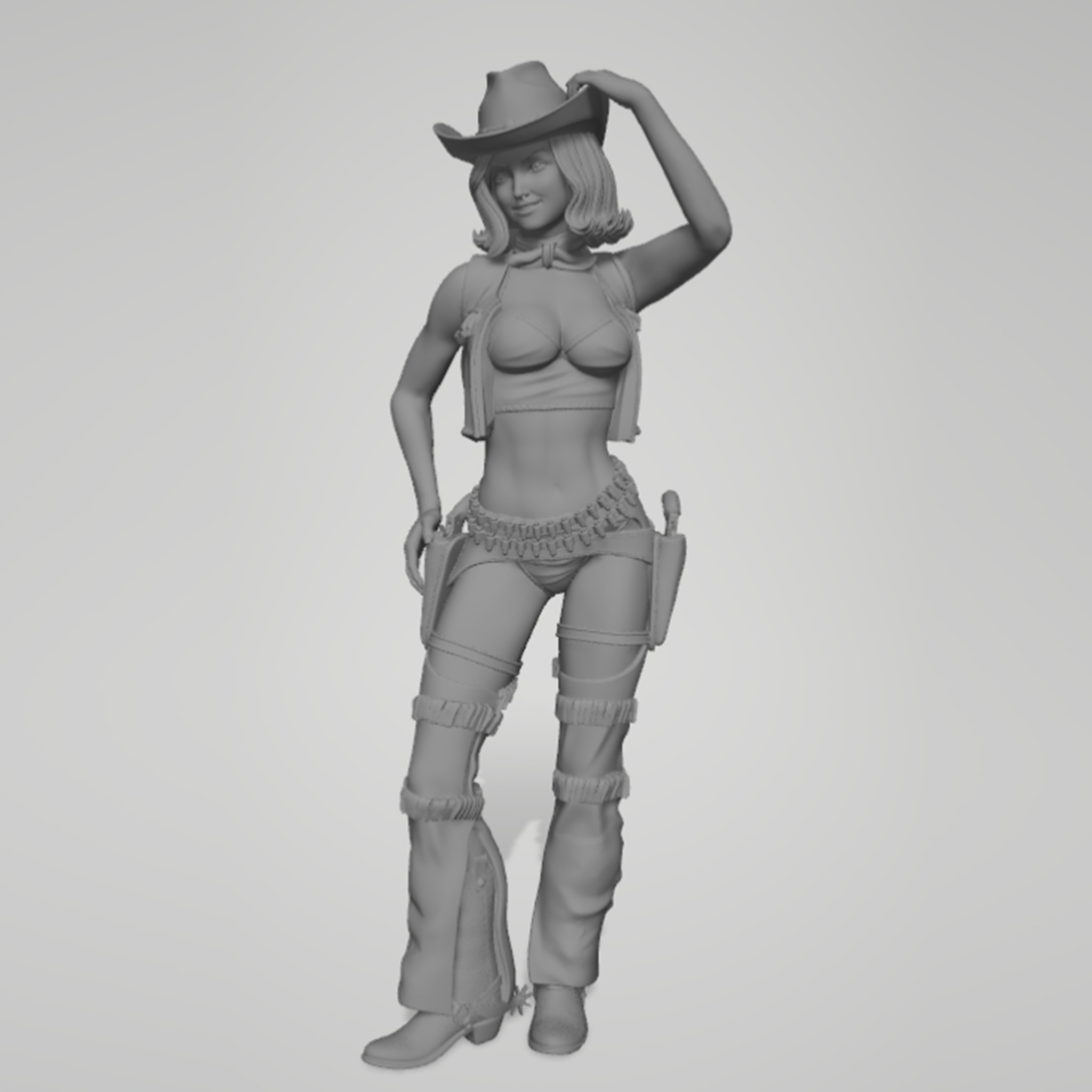 1/24 1/18 1/12 Ковбойша. Несоб – обзор и цена Model Kit Anime Girl
